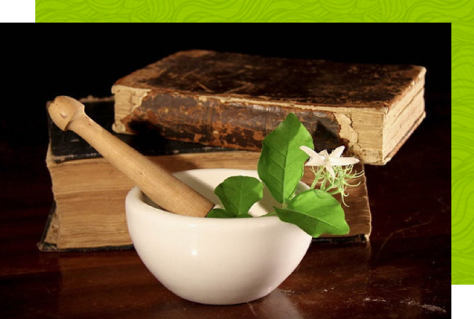 Pranayatan Ayurveda